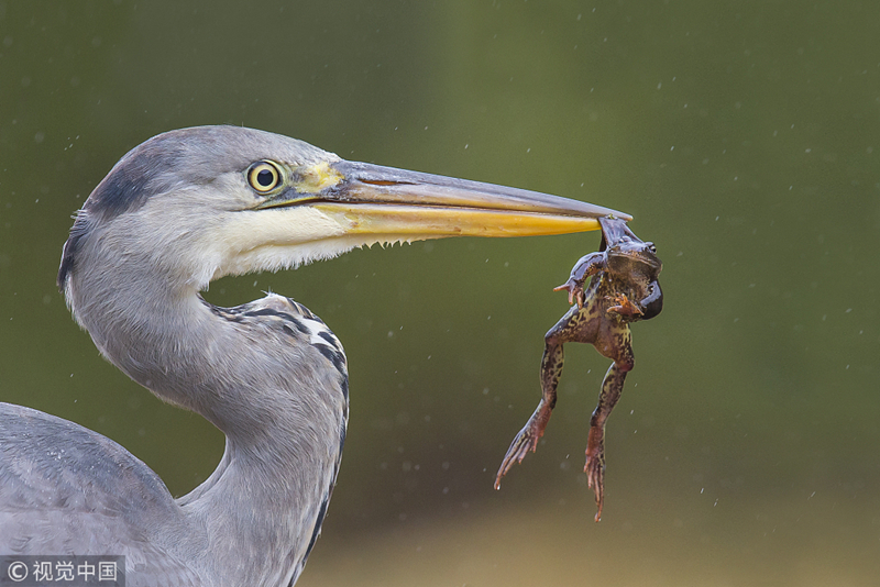 A new high-speed internet service was launched in rural areas providing faster connectivity to underserved communities