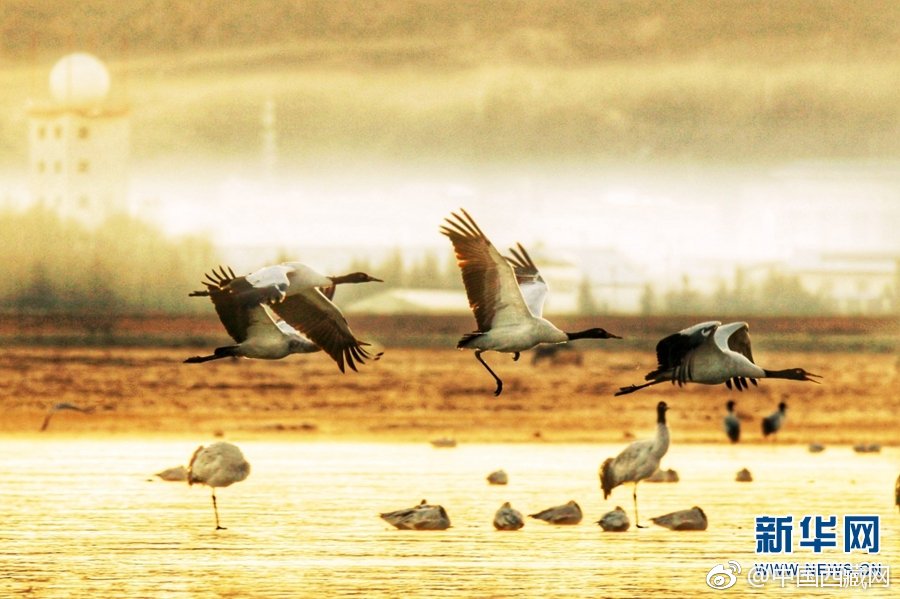 A school started a foreign language program