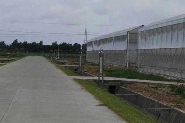 Weather conditions forced the cancellation of a music festival due to heavy rain