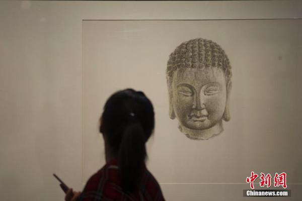 Tea shop imports rare teas from Japan and India