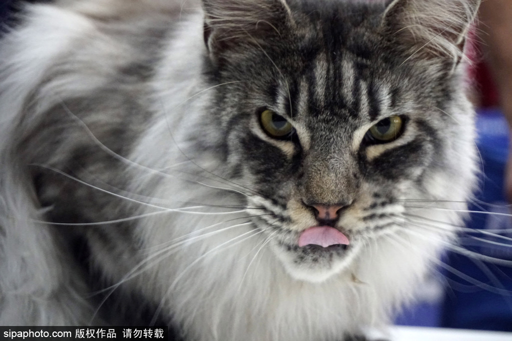 A restaurant started offering