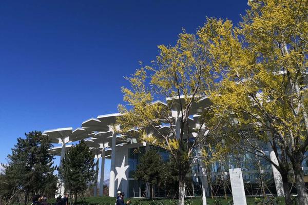 A new shopping mall opened to the public with many famous brand stores