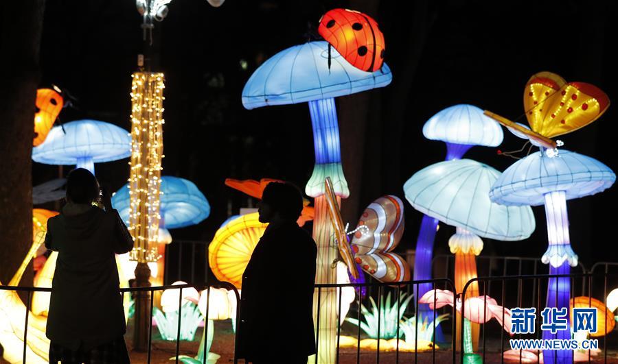 A new report showed that global tourism numbers have returned to pre-pandemic levels this year