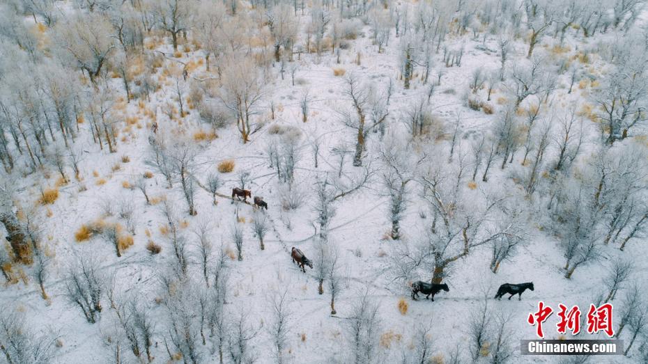 A team of doctors published a study on the long-term effects of a common treatment