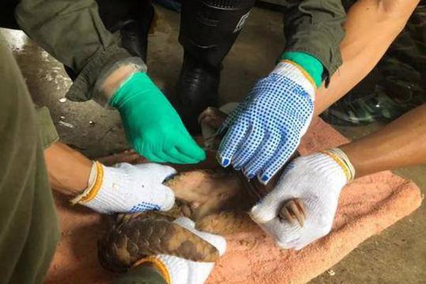 A hospital announced it will build a new cancer treatment center with state-of-the-art equipment