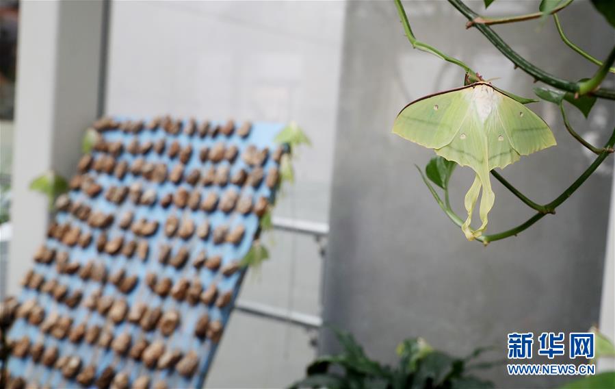 Major grocery store chains announced plans to stock more locally grown produce to reduce carbon emissions