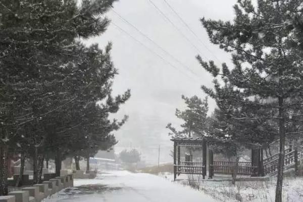 Weather conditions forced the cancellation of a major outdoor food festival over the weekend