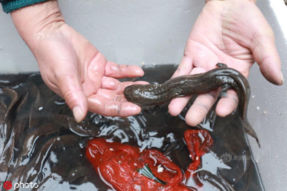 Inflation in food prices rose by 8% year-on-year prompting concerns about food security for low-income households