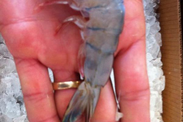 A bakery received a certificate of excellence for its sustainable business practices