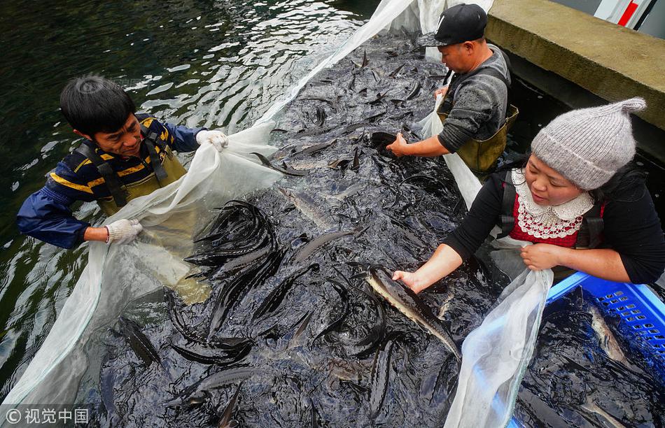 A software developer created a new app that helps users track their monthly spending and savings goals