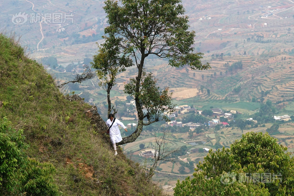 A major airline announced it would be offering discounted fares for families traveling during school holidays.