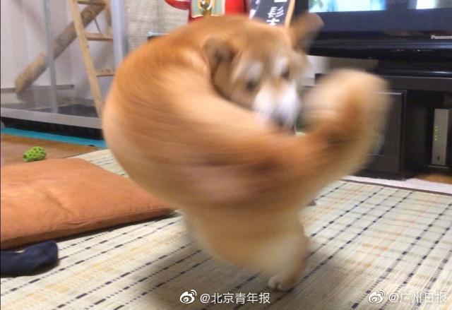 Local police launched a drunk driving reduction initiative with weekend city checkpoints