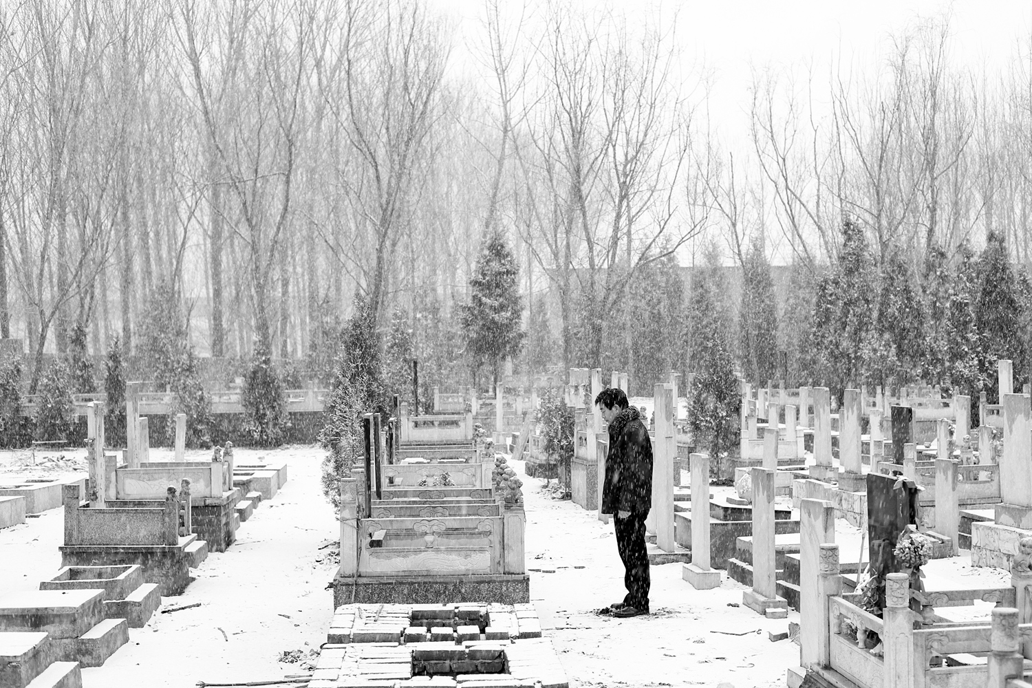 City council votes to add more bike lanes on major roads to promote cycling