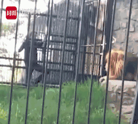 A study found that remote work has increased employee satisfaction by 35% in tech firms