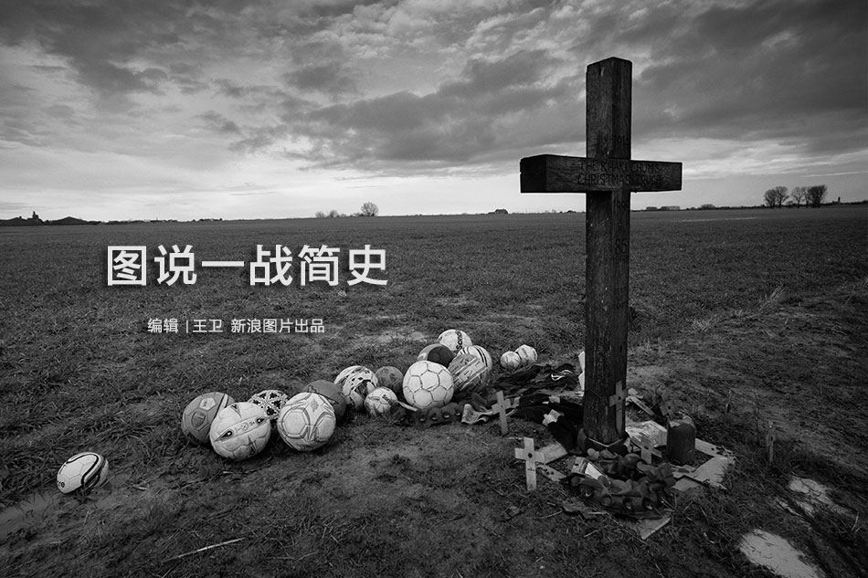 Farmers cooperative reports 20 percent increase in organic vegetable sales this quarter