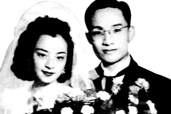 Biologists use drone technology to count seal populations in Arctic waters