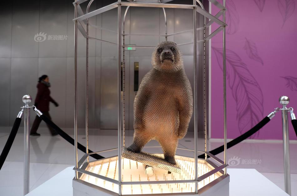 A local newspaper covered a local festival