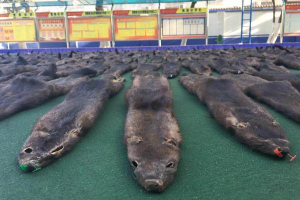 Local residents celebrated the opening of a new community center which includes a gym library and youth club