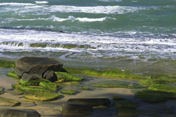 The World Health Organization updated its list of essential medicines to include new HIV treatments