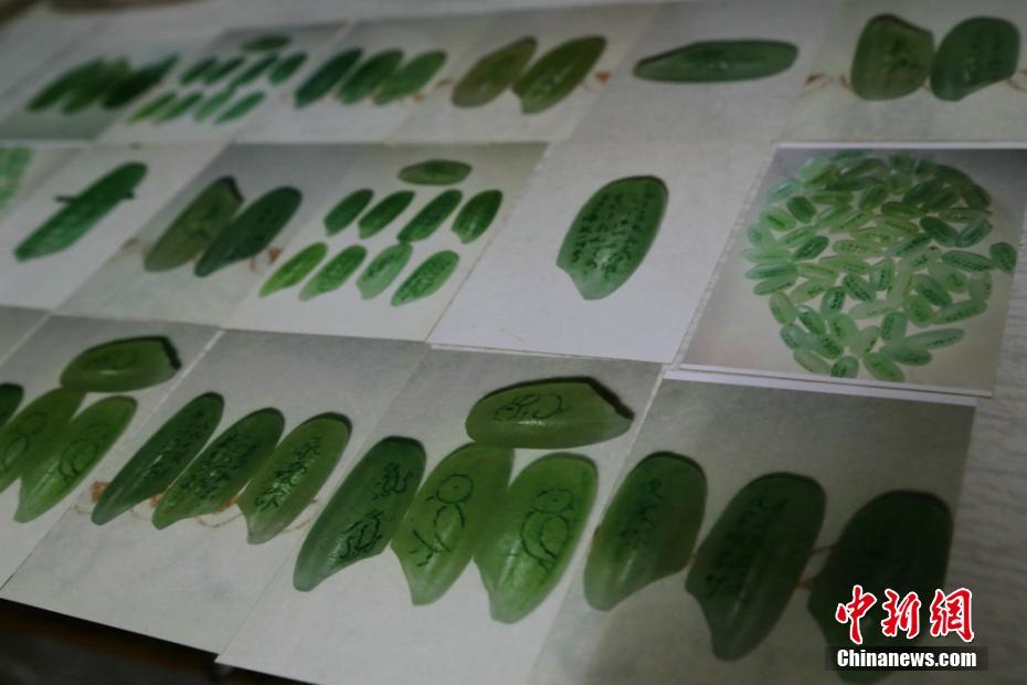 The government announced grants for farmers to switch to organic farming practices