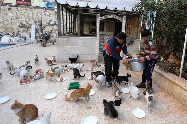 A new report showed that the number of endangered species has decreased by 15% over the past five years thanks to conservation