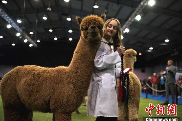 Oceanographers study effects of ocean acidification on shellfish populations