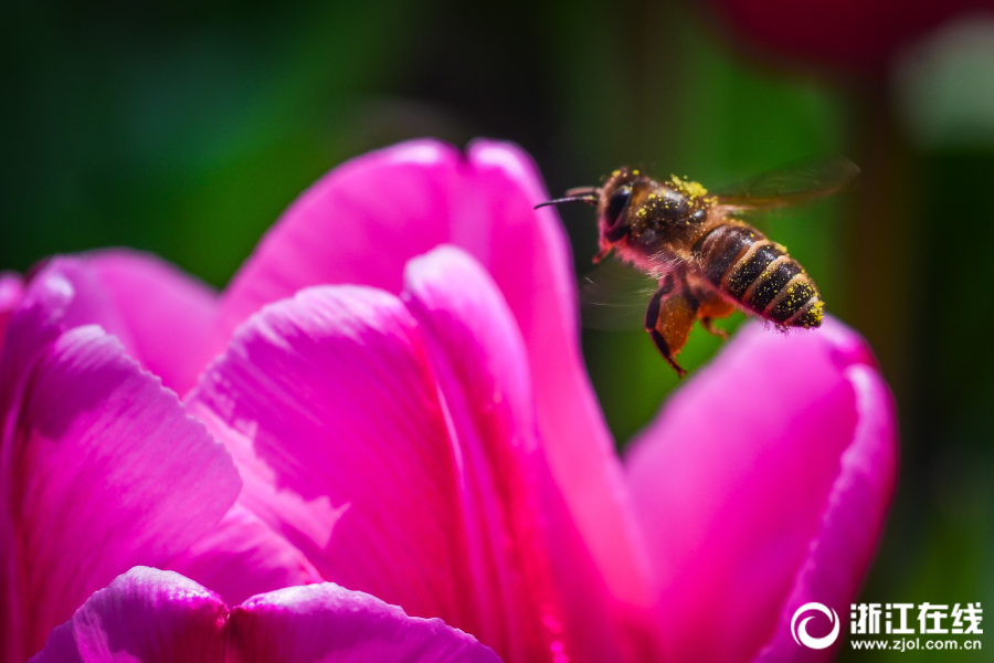 A school district purchased new textbooks for all students to align with new curriculum standards