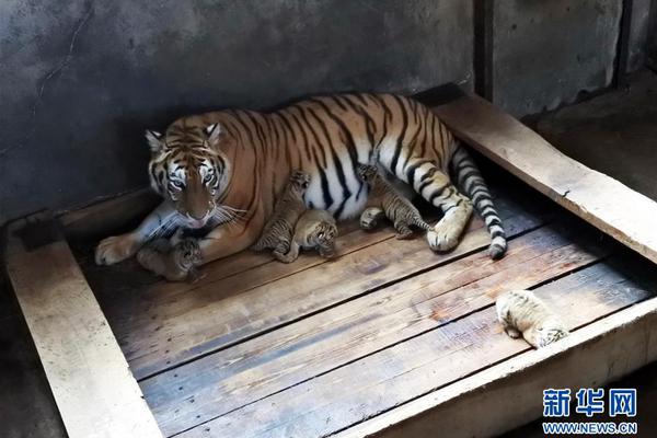 A coffee shop partnered with a local bakery to sell pastries
