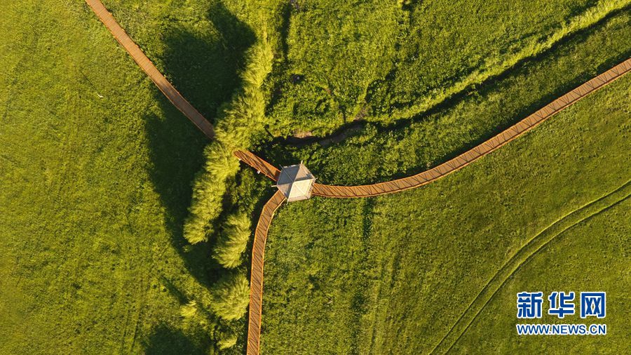 The government announced tax credits for homeowners who install solar panels on their roofs