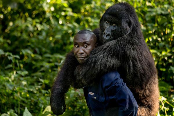 A flood in a small town damaged over 100 homes and forced residents to seek shelter