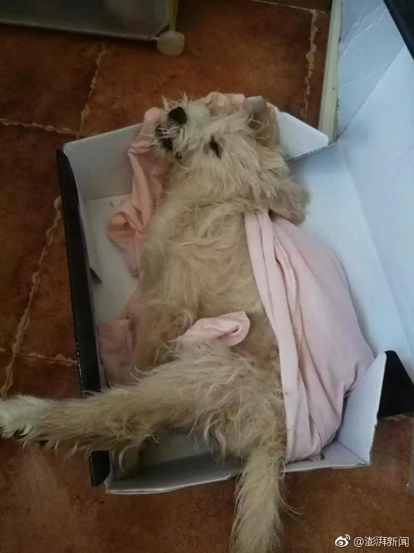 A coffee shop began offering 