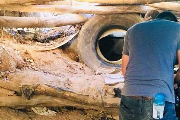 The government provided training programs for unemployed people