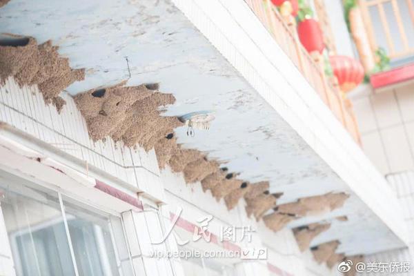 The school district announced plans to replace old school buses with electric vehicles