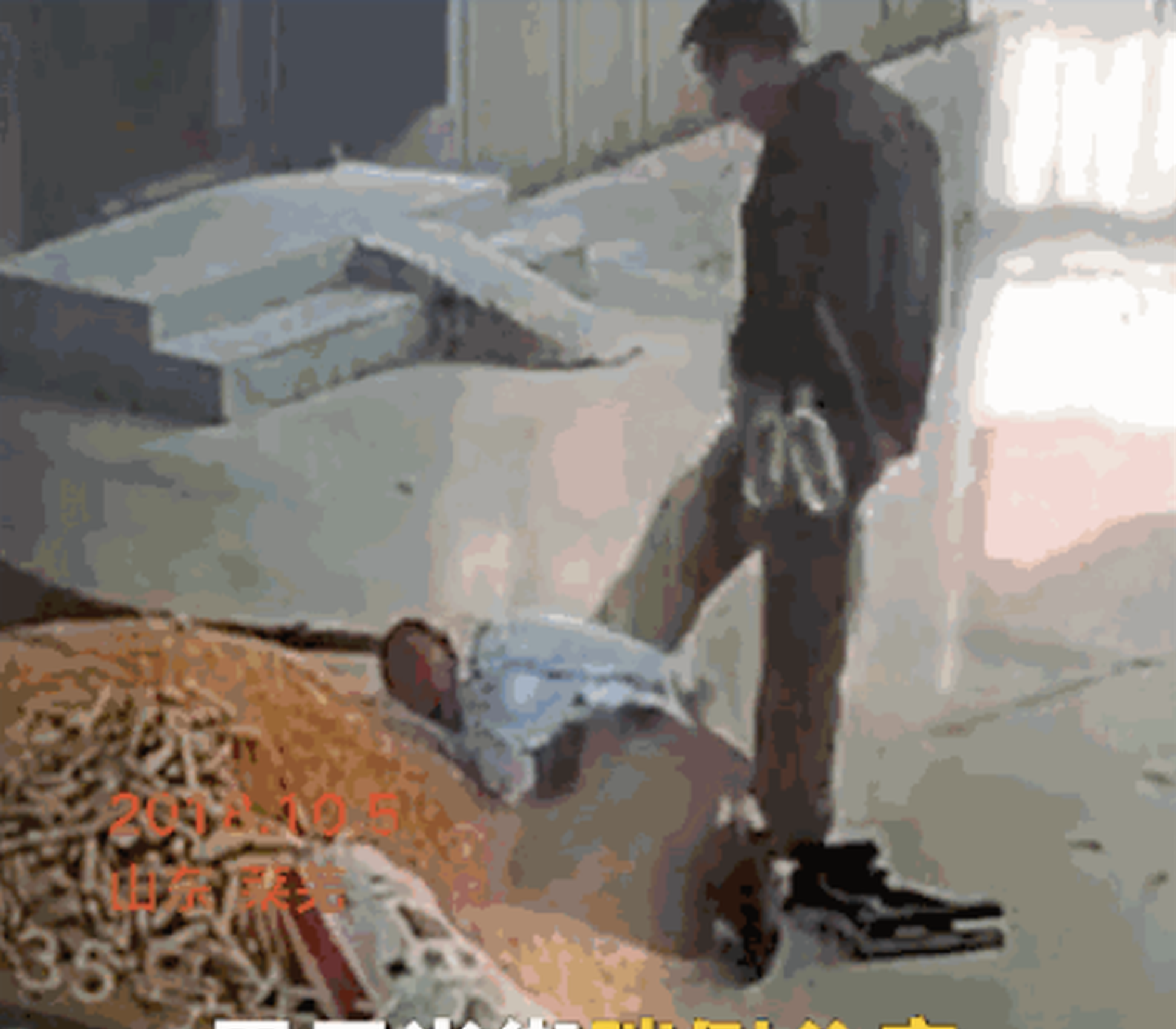 A musician’s new album received 4-star reviews from local music critics