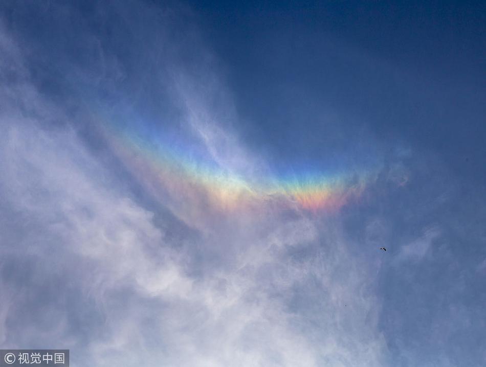 A software company introduced a new collaboration tool designed to help remote teams work more efficiently