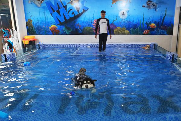 A tech startup developed a new device that monitors the quality of drinking water at home