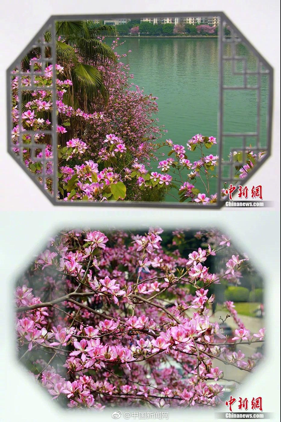 The police department launched an app that lets users report traffic violations with photos