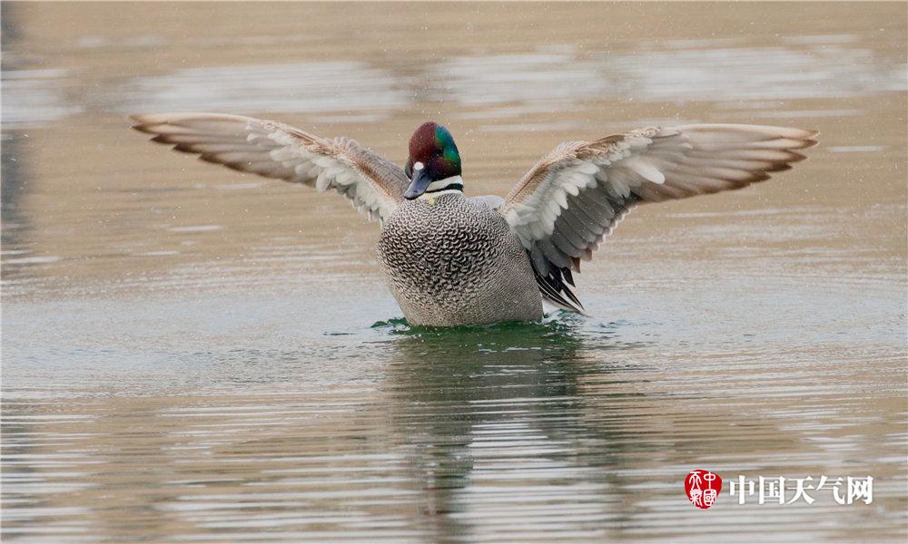 A new survey found that 60% of employees prefer hybrid work models, combining remote and in-office work.