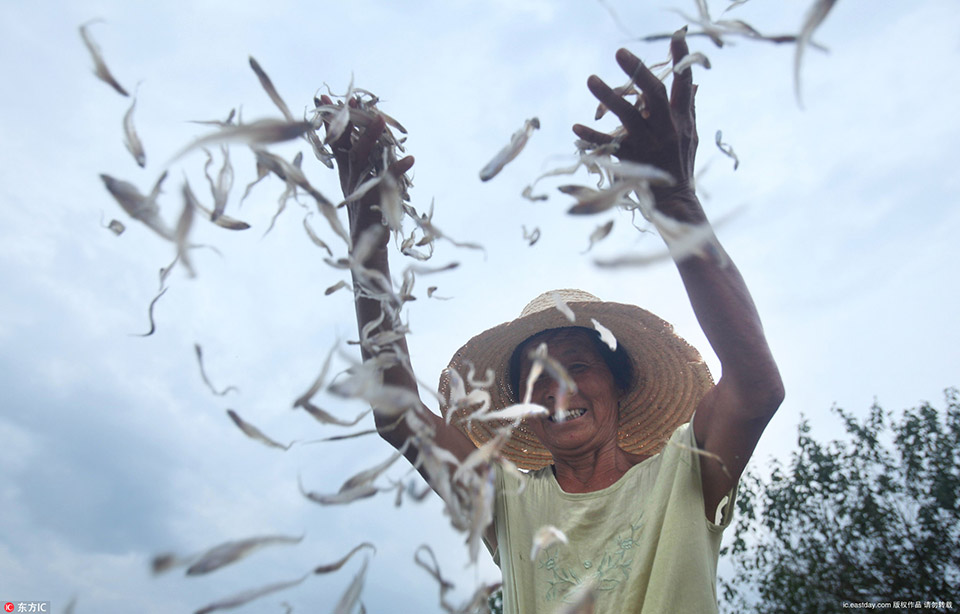 Local farmers reported higher crop yields this season thanks to a new irrigation system