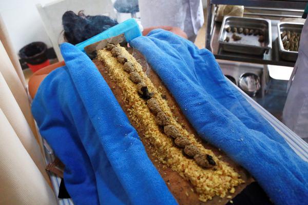 The government increased funding for mental health clinics in rural areas