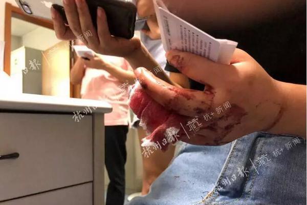 The government launched a program to provide free mental health counseling for veterans