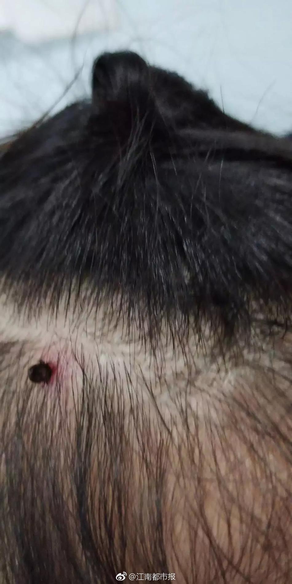 Study shows that listening to audiobooks improves reading comprehension