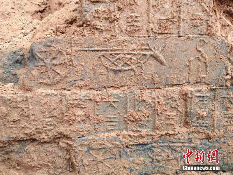 A musician performed at a charity gala that raised $50,000 for a local nonprofit