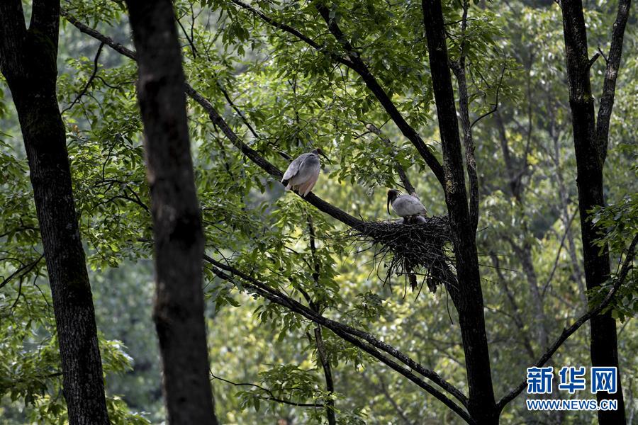 Newsletter provides advice on preparing for winter storms