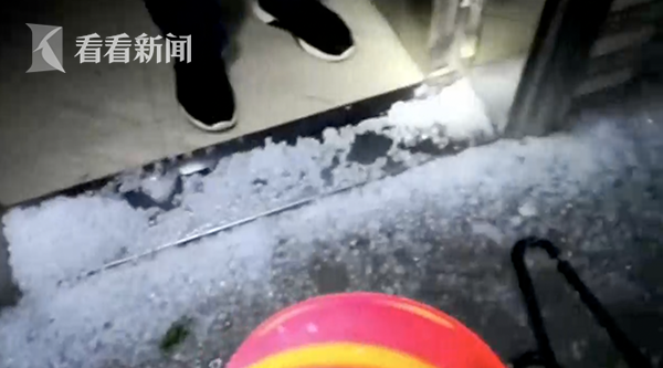 A community garden donated 300 pounds of tomatoes to a local food bank this summer