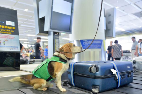 A small business owner launched an online store selling handmade wooden home decor