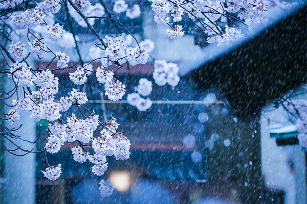 A farm started a petting zoo to attract families and teach children about farm animals