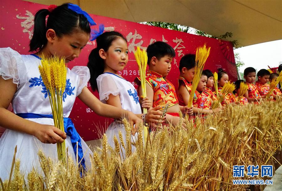 The government started a program to help farmers switch to drip irrigation systems