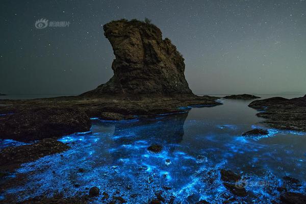 The community organized a beach cleanup that collected over 2 tons of trash