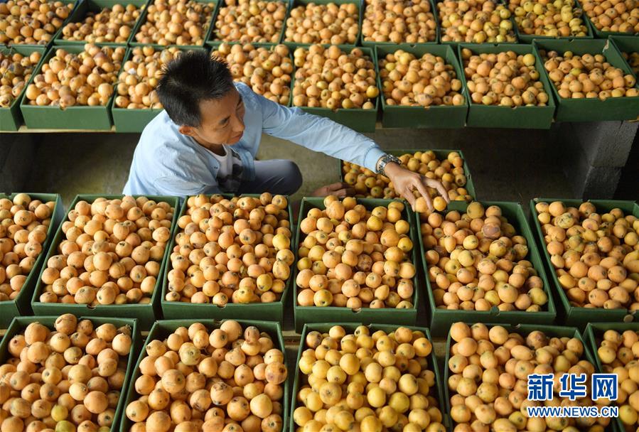 Motorcycle show features custom bikes from local builders and national brands